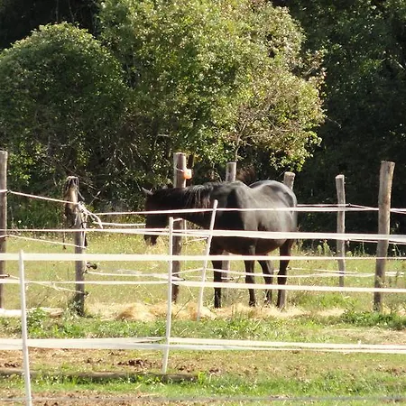 Farm stay Agriturismo Cardito Santa Rufina